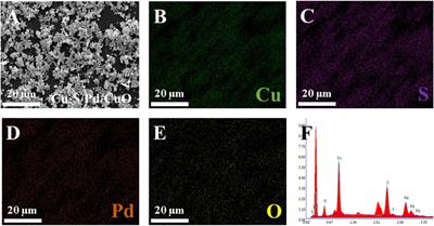 A Label-Free Electrochemical Immunosensor for CEA Detection on a Novel Signal Amplification Platform of Cu2S/Pd/CuO Nanocomposites